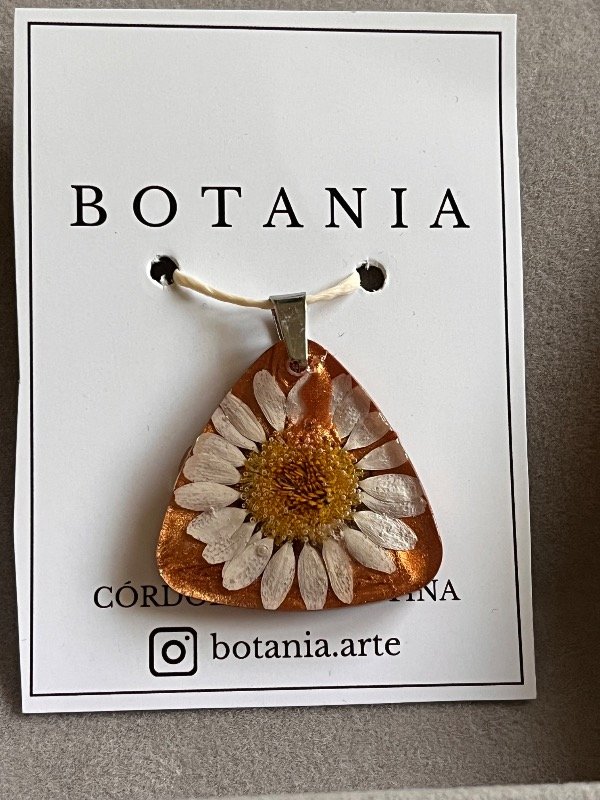 Producto - Margarita 7