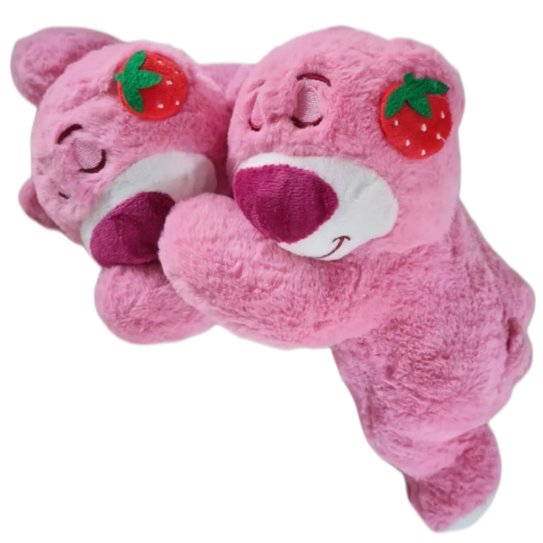Producto - Lotso pequeño