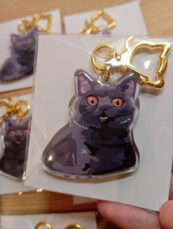 Producto - Surprised gray cat - Keychain