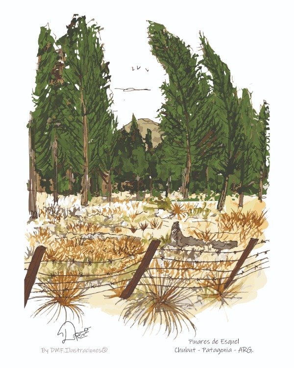 Producto - Lámina - Serie ARG Pinares de Esquel - CHUBUT