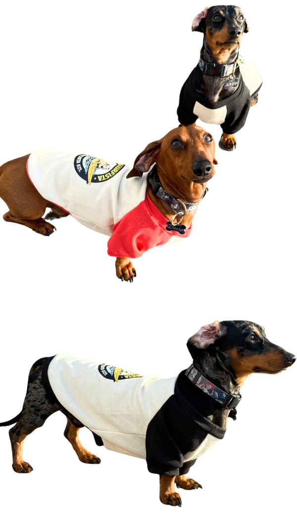 Producto - Buzo dúo