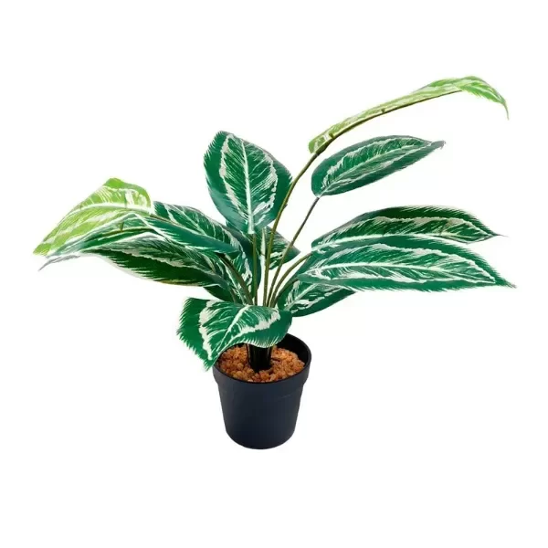 Producto - FA163 45CM