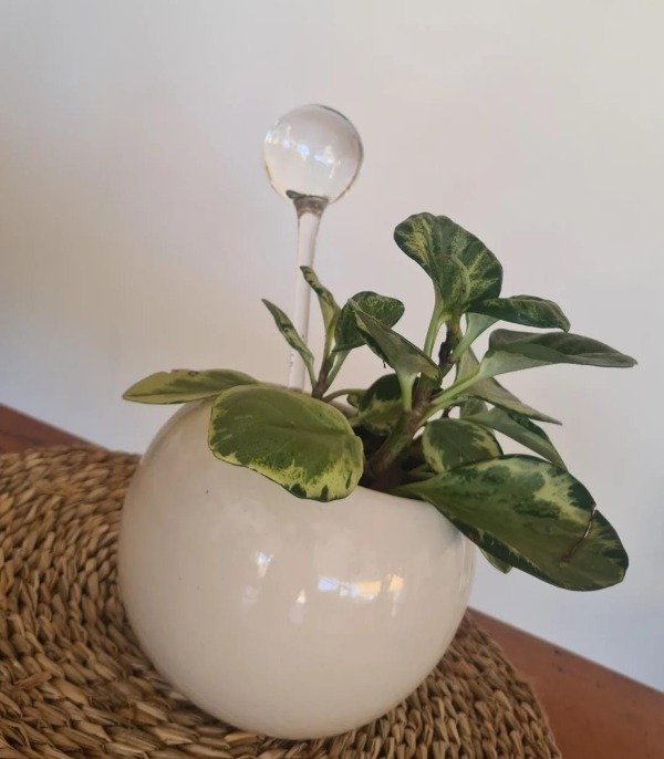 Producto - Gota de riego chica