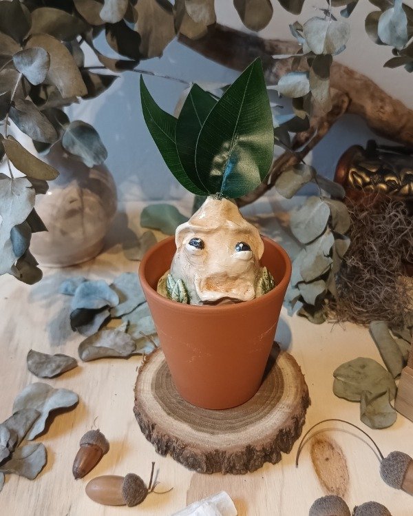 Producto - Mandrágora III
