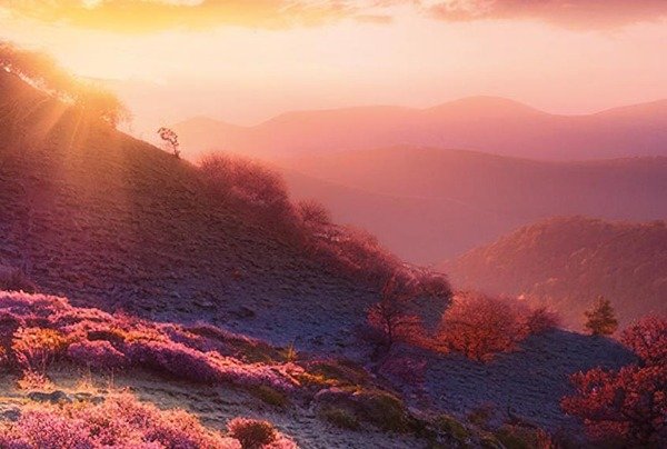 Miniatura de producto - 15