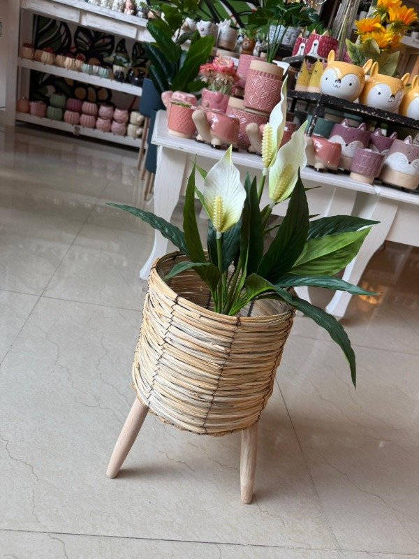 Producto - Pie Nórdico de ratán 35cm (Efectivo: 35.920)