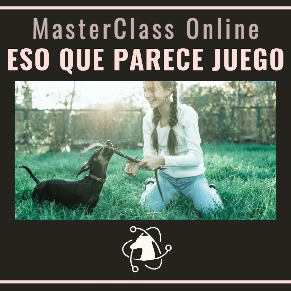 Producto - MasterClass ESO QUE PARECE JUEGO