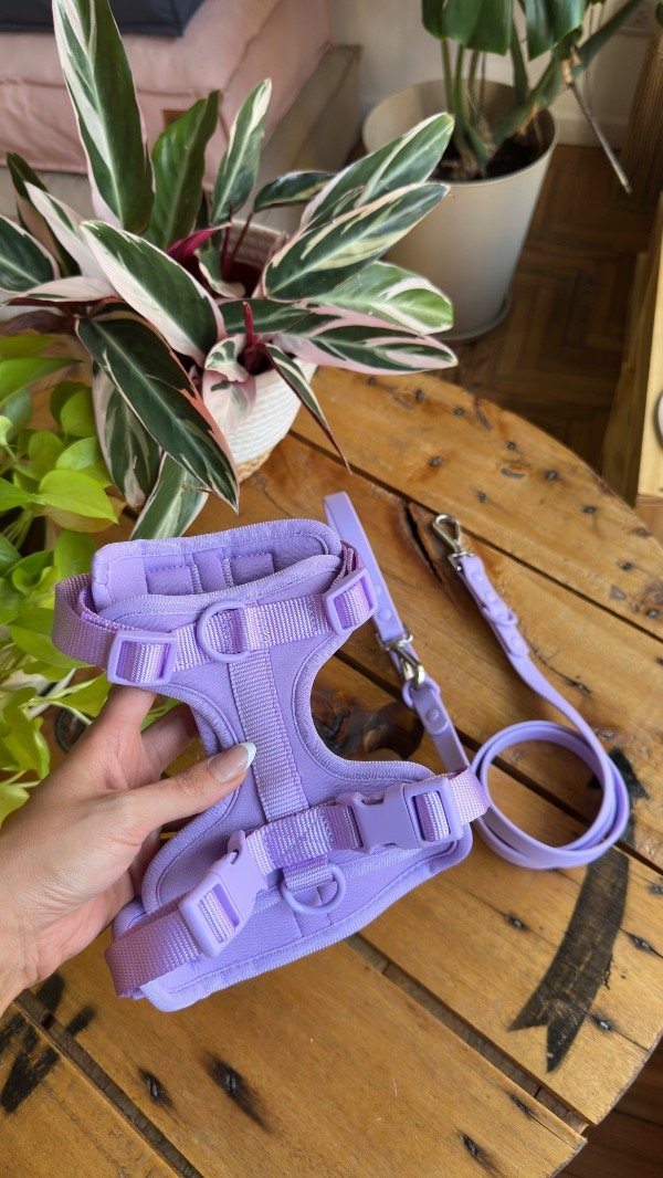 Producto - Combo Waterproof - Arnés + Correa