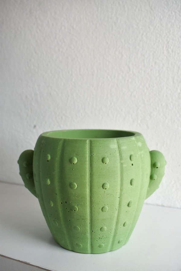 Producto - Maceta cactus
