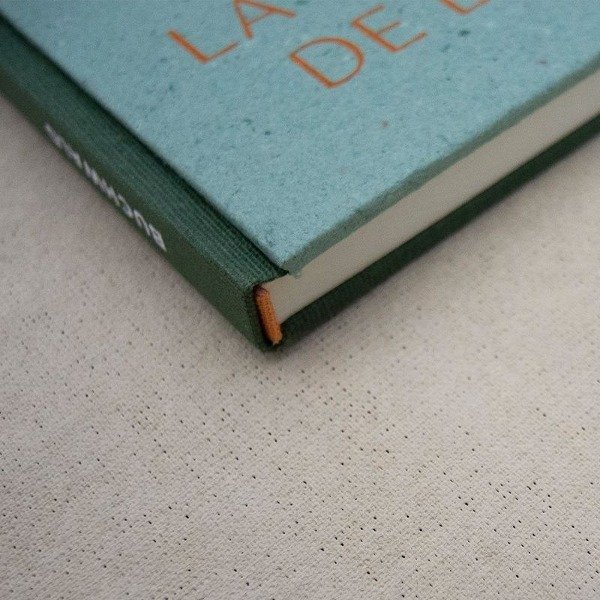 Producto - LA METAMORFOSIS DE LAS PLANTAS - WOLFGANG VON GOETHE - BUCH WALD EDITORIAL - 2