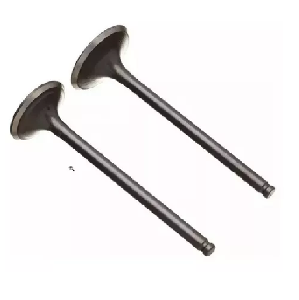 Producto - Valvulas Zanella 125 Zsc Scooter par