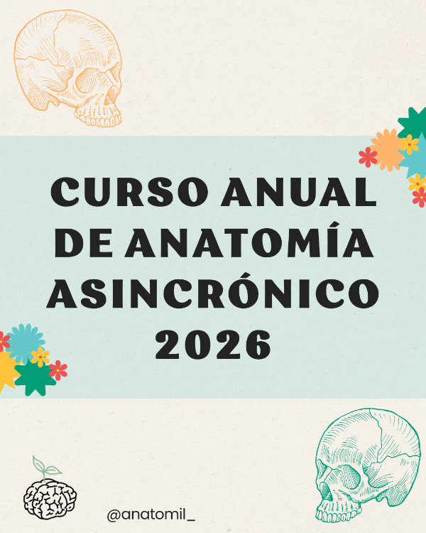 Producto - CURSO ANUAL DE ANATOMÍA ASINCRÓNICO 2026