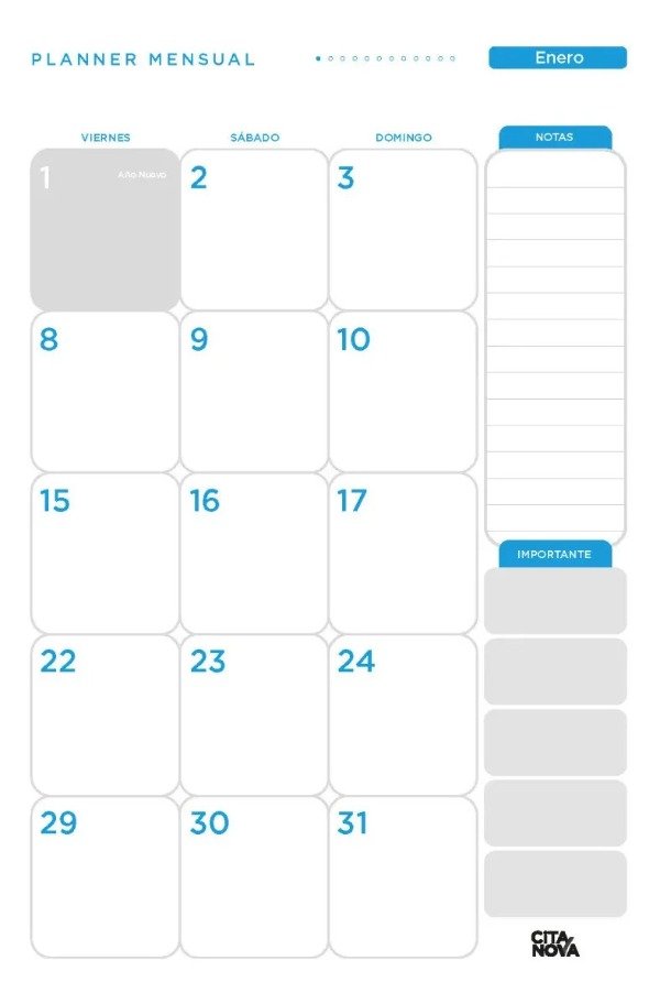 Producto - Repuesto Agenda Citanova N8 Diaria 10003.8.2.12 - 1
