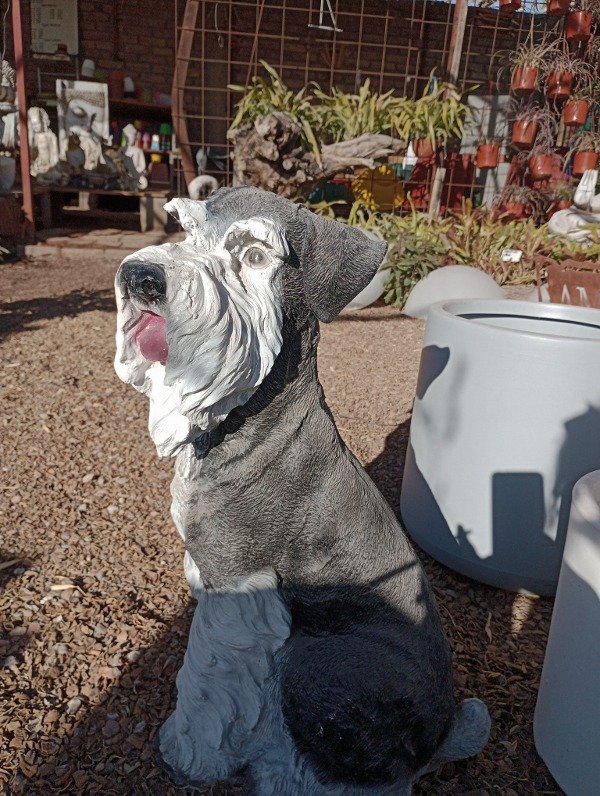 Producto - Perro Resina
