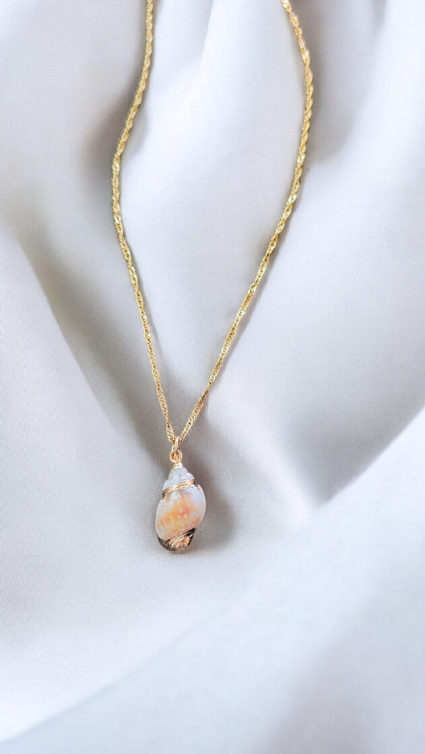 Producto - Conjunto Coralina