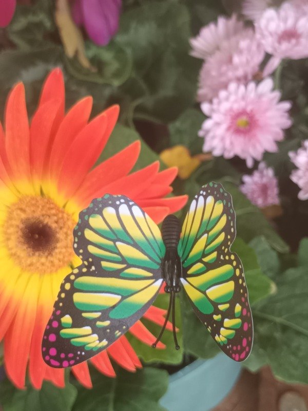 Producto - Tutor Mariposa - 1