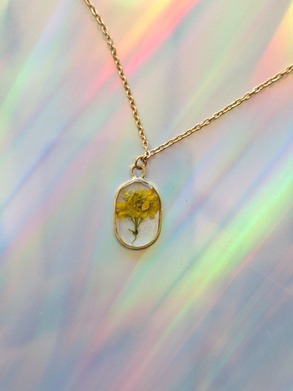 Producto - momento solar pétit
