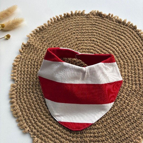 Producto - Babero bandana de varon estampa 8