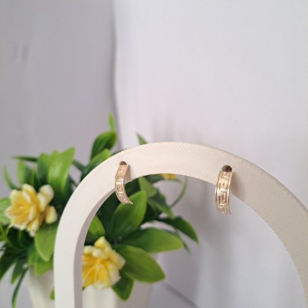 Producto - Aros Pasante Guarda - Código: 000103 - 0