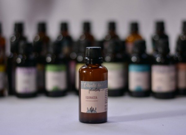 Producto - Tintura madre de Equinacea - 1
