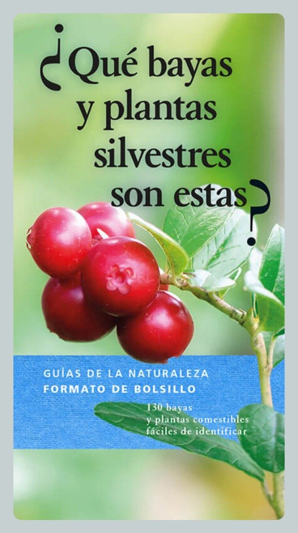 Producto - Qué Bayas y Plantas Silvestres son Estas - Guía de la Naturaleza