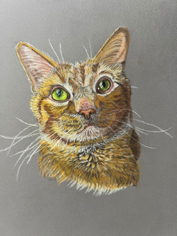 Producto - Retrato de mascota con pastel tiza - 5