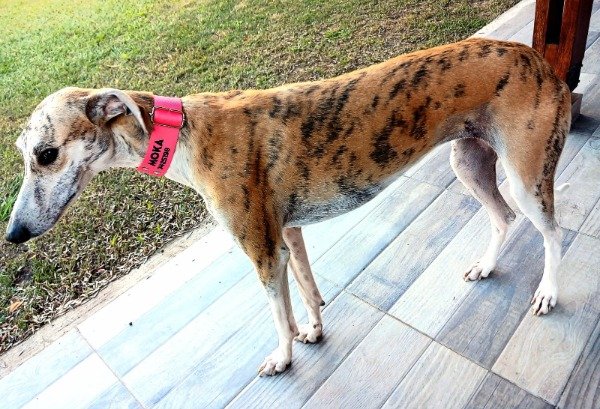 Miniatura de producto - 9