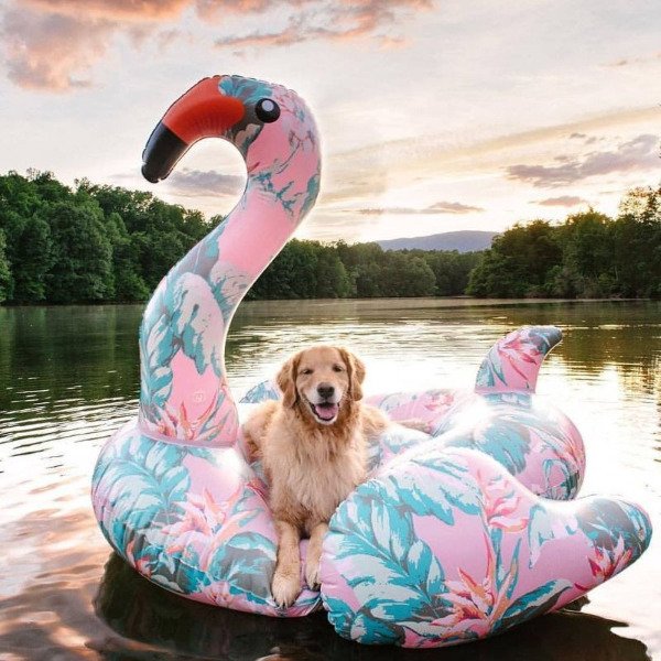 Producto - Inflable Flamenco 1.52m x 0,89m - 0