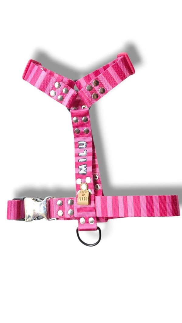 Producto - Arnes H - 3
