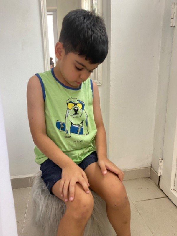 Producto - Musculosa bull dog