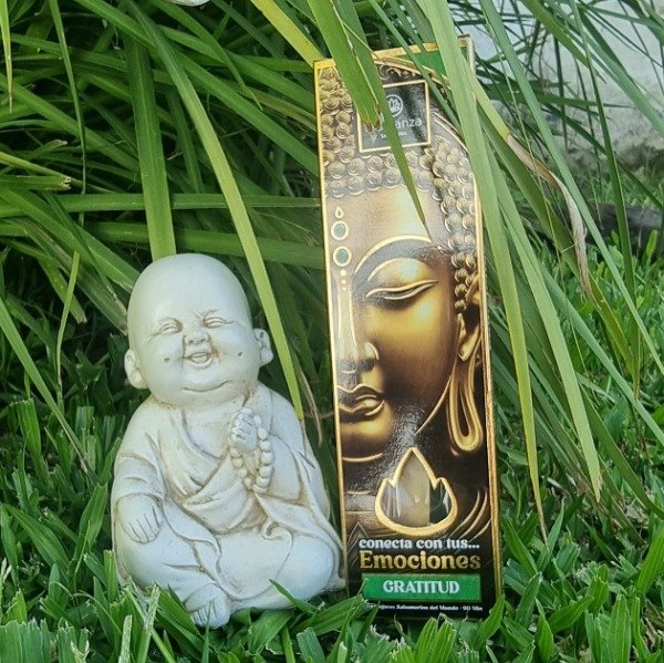 Producto - Gratitud Emociones