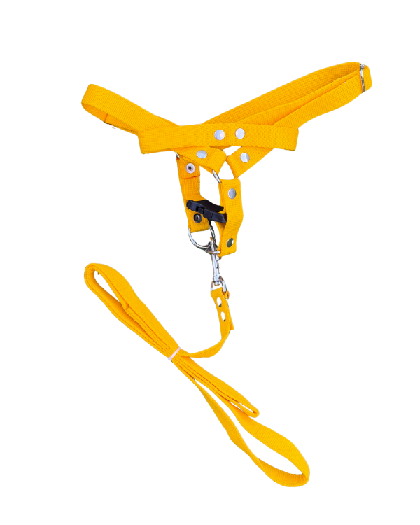 Producto - Pretales con correa