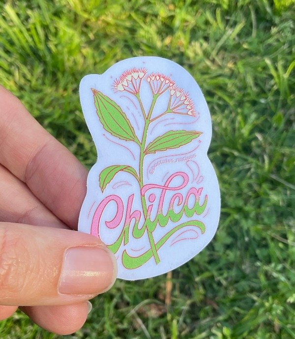 Producto - Sticker transparente UV - Chilca