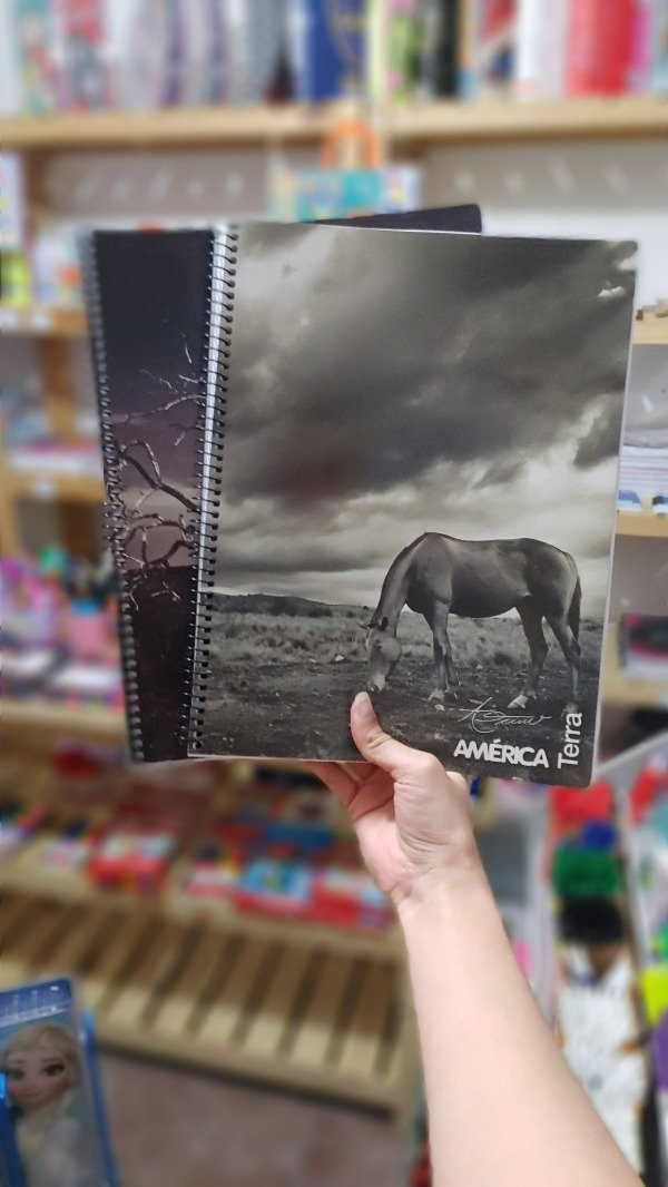Producto - Cuaderno America T/Flexible