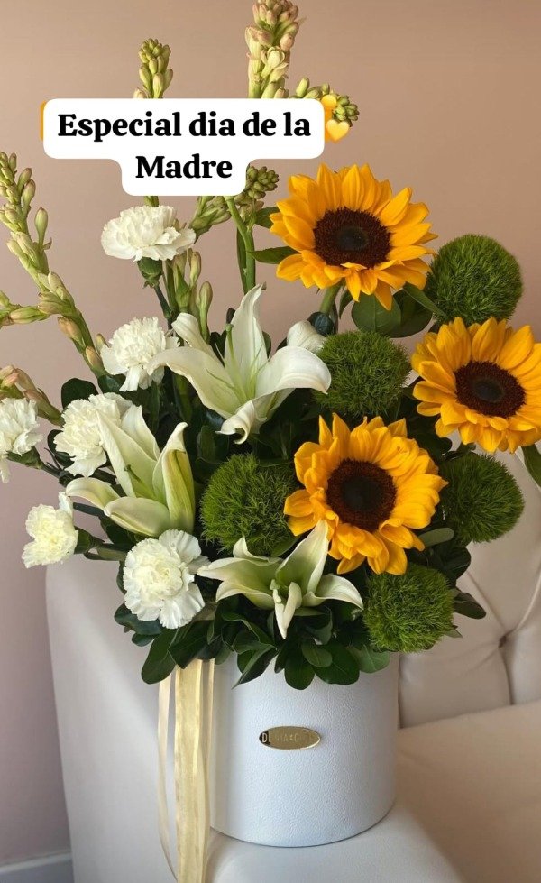 Producto - Box Dilia