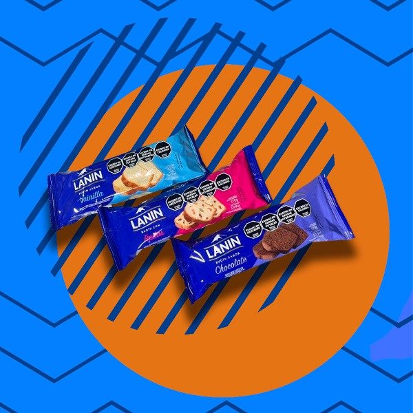 Producto - LC BUDIN LANIN CHOCO - FRUTAS - VAINILLA X 170GRS