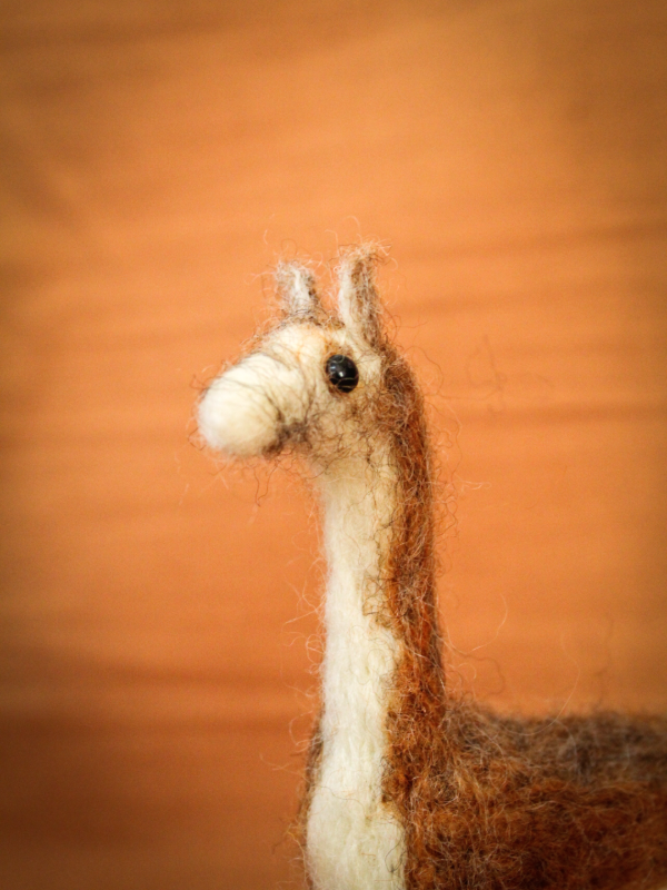 Producto - GUANACO - 1