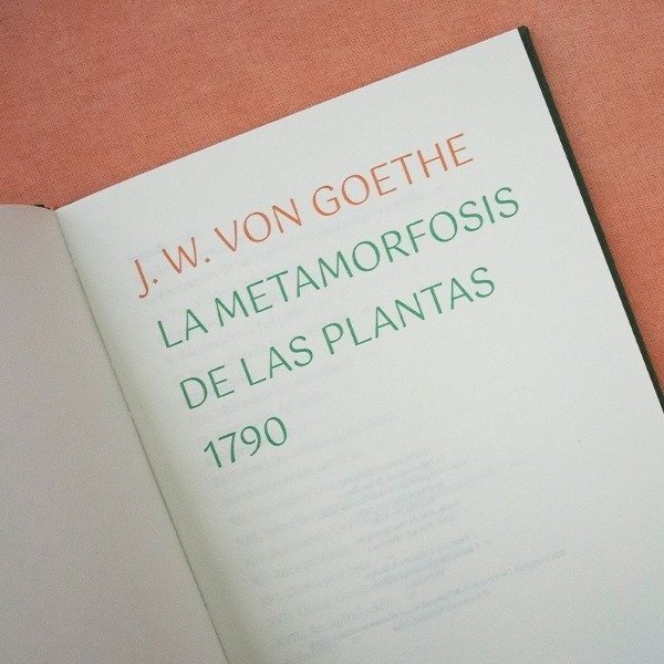 Producto - LA METAMORFOSIS DE LAS PLANTAS - WOLFGANG VON GOETHE - BUCH WALD EDITORIAL - 3