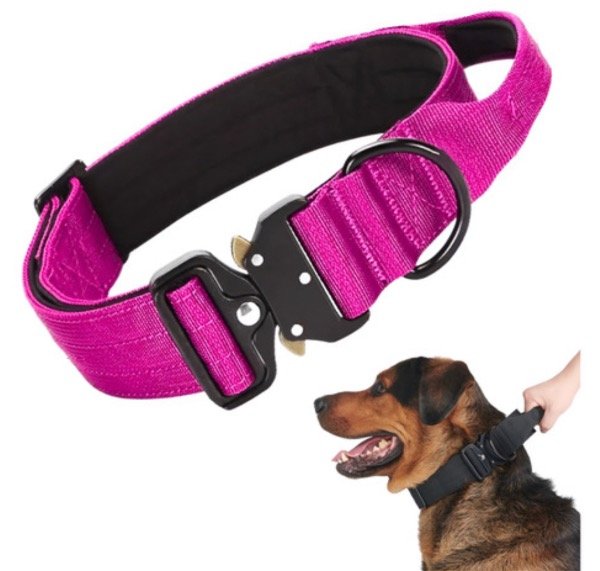 Producto - collar TÁCTICO