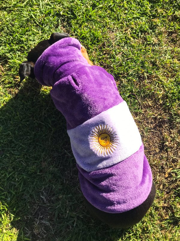 Producto - BUZO ARGENTINA LILA
