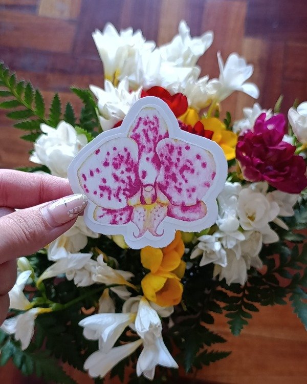 Producto - Orquídea Fuschia Transparente