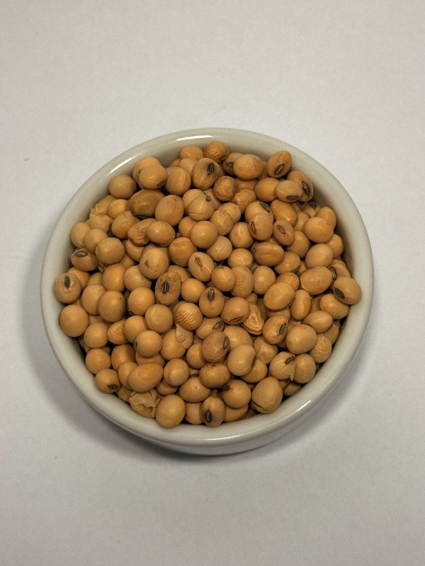 Producto - Granos de soja - 100g