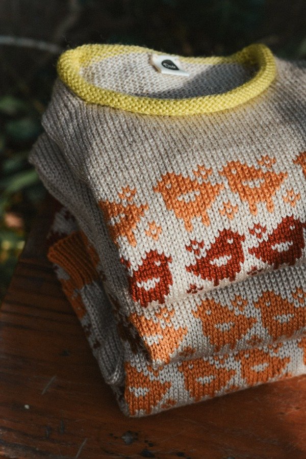 Producto - Sweater Pajaritos