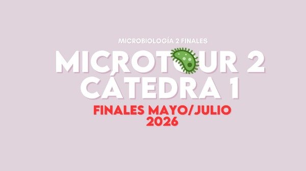 Producto - MICRO 2 FINALES