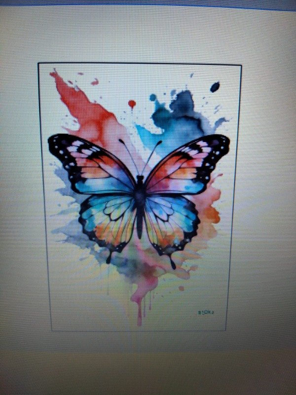 Producto - Termotransferibles 20x29cm Aves #3