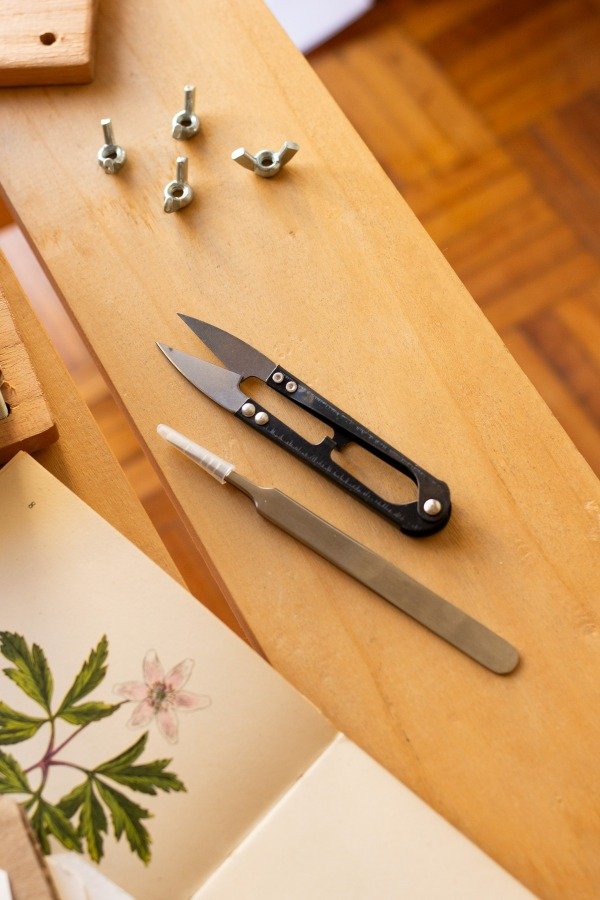 Producto - Pinza y Tijeras para Flores