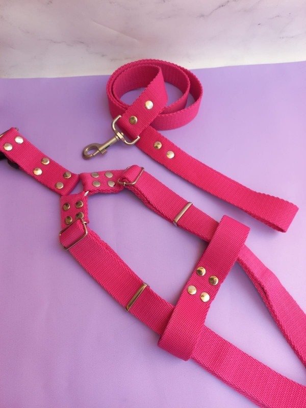 Producto - Combo pechera + correa XL - 3