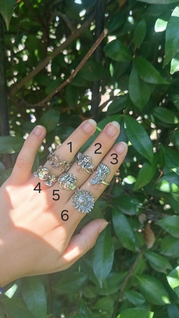 Producto - Mix Anillos 23