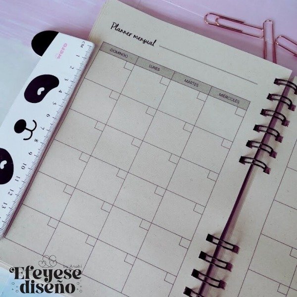 Producto - Agenda Profesional para Estética A5 Perpetua - 5