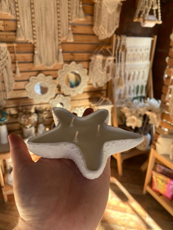 Producto - Estrella de mar